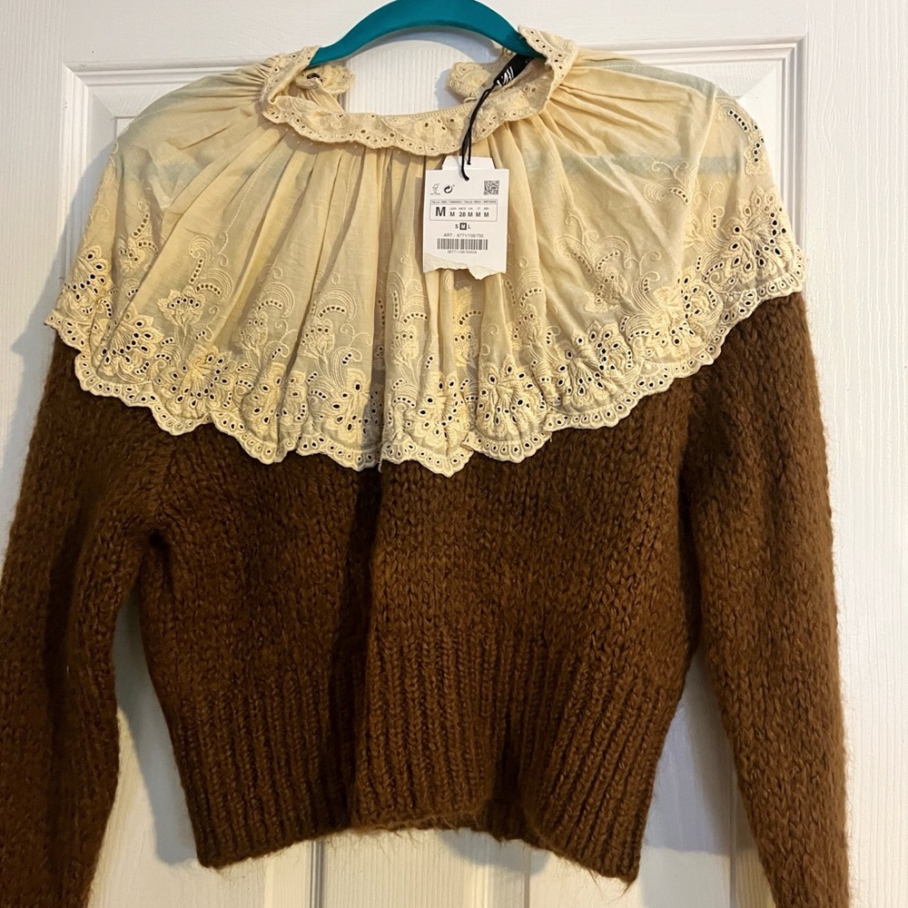 Zara Brown Knit Sweater with Cream Eyelet Collar